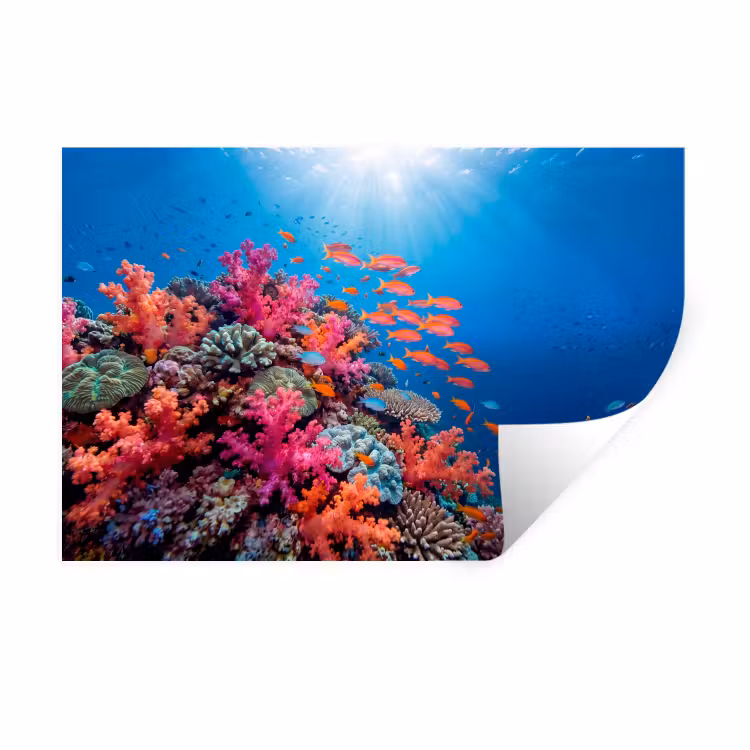 Onderwater - Koraalrif - Vissen - Oceaan - Natuur Muursticker klein -3d