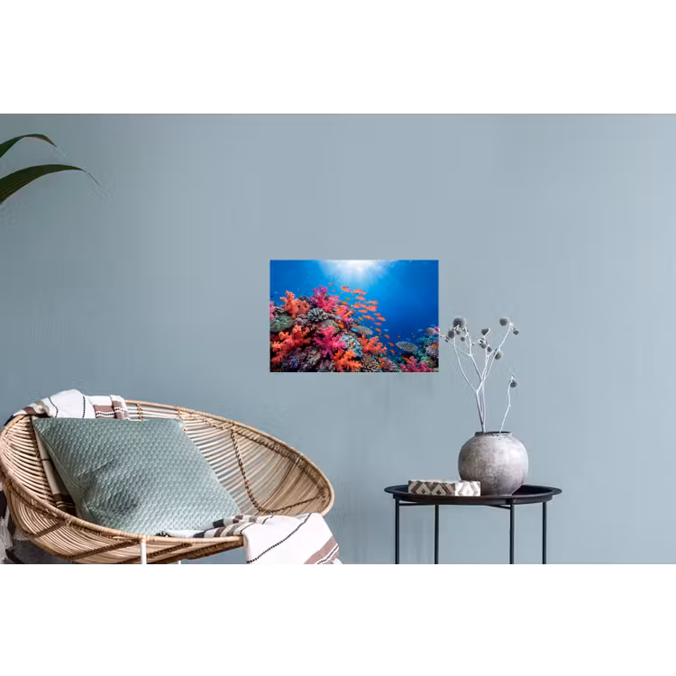 Onderwater - Koraalrif - Vissen - Oceaan - Natuur Muursticker klein -plant
