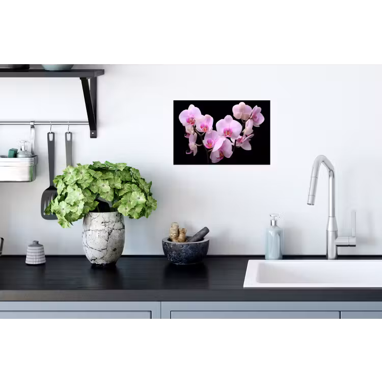 Orchidee - Bloemen - Roze - Flora Muursticker klein -keuken