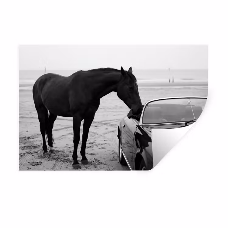 Paard - Auto - Zwart - Wit Muursticker klein -3d
