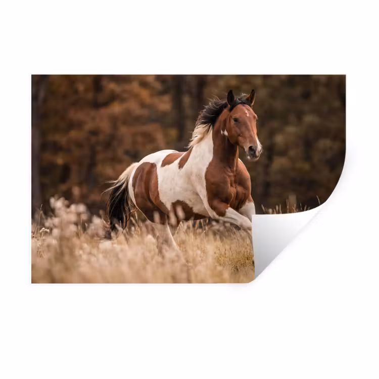 Paard - Bruin - Gras Muursticker klein -3d