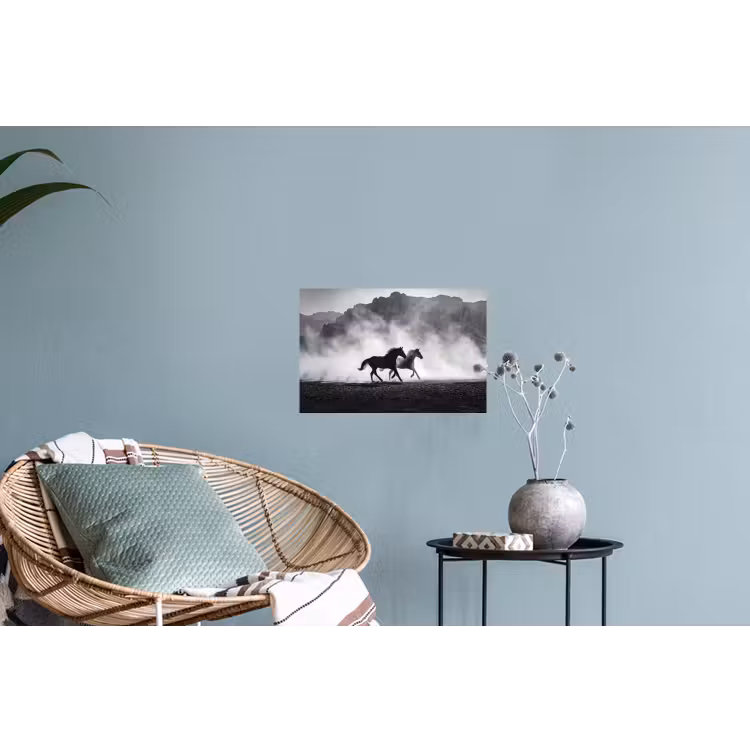 Paard - Ren - Stof - Zwart-wit - Dieren Muursticker klein -plant