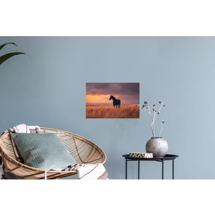 Paard - Wolken - Open veld Muursticker klein -plant