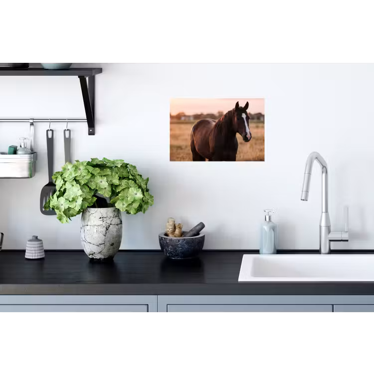 Paard - Zonsondergang - Bruin Muursticker klein -keuken