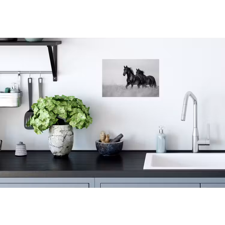 Paarden - Gras - Zwart - Wit Muursticker klein -keuken