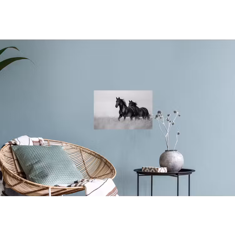 Paarden - Gras - Zwart - Wit Muursticker klein -plant