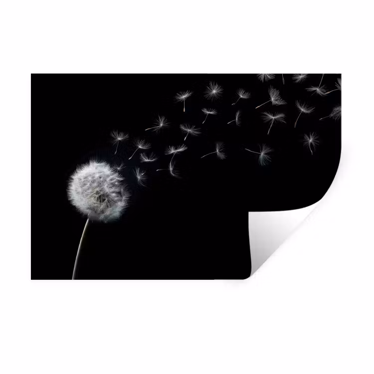 Paardenbloem - Zwart - Natuur Muursticker klein -3d