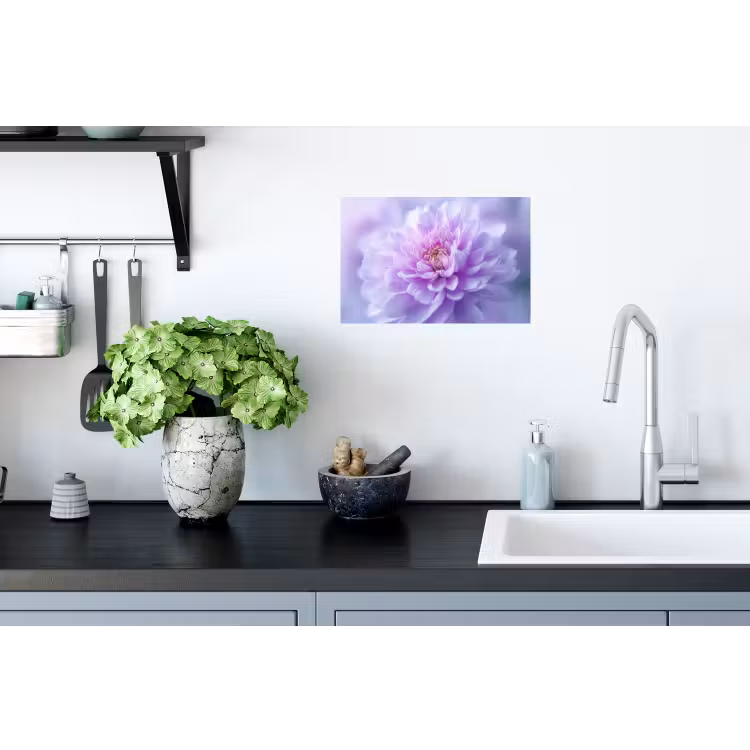 Paars - Dahlia - Dromerig Muursticker klein -keuken