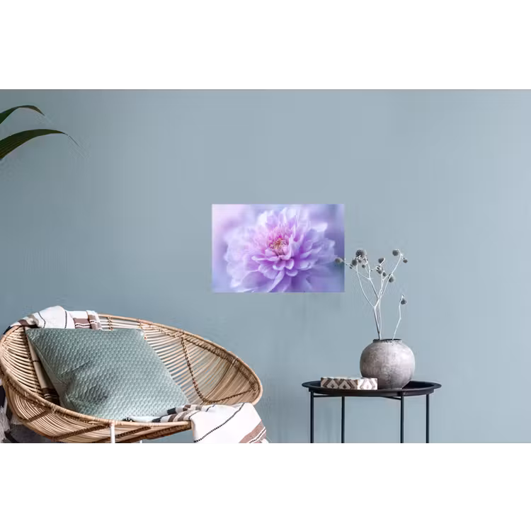 Paars - Dahlia - Dromerig Muursticker klein -plant
