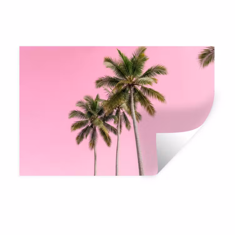 Palmboom - Tropisch - Pink Muursticker klein -3d