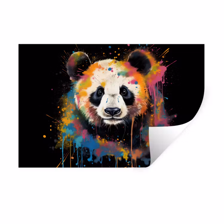 Panda - Graffiti - Dieren - Zwart - Kleuren Muursticker klein -3d