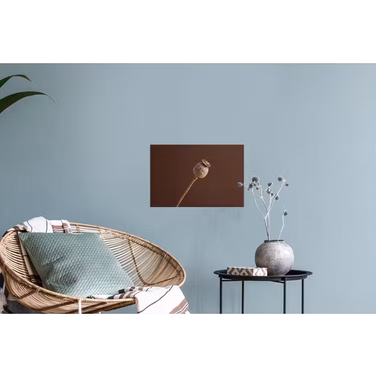 Papaverbol - Droogbloem - Bruin - Minimalistisch Muursticker klein -plant