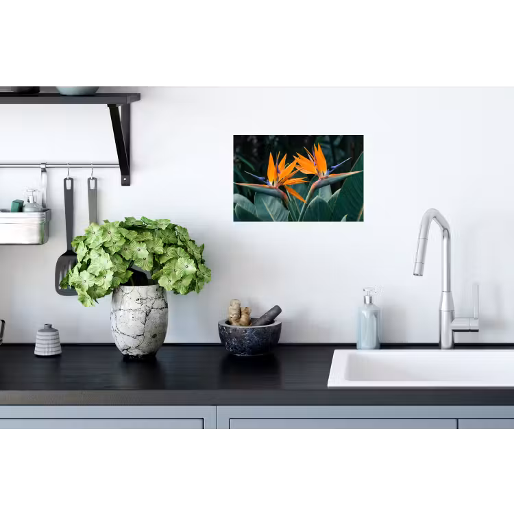 Paradijsvogel - Bloem - Exotisch Muursticker klein -keuken