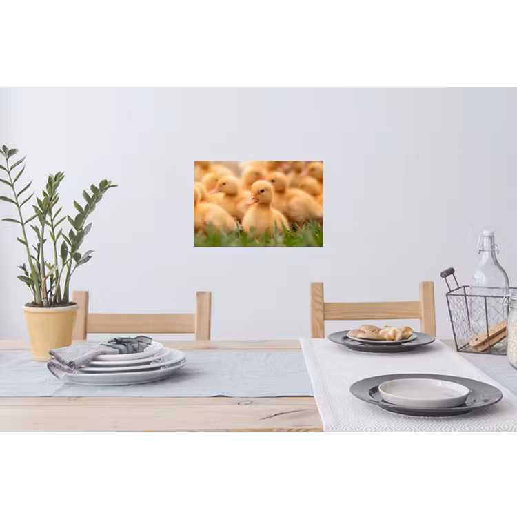 Pijltje - Eend - Natuur - Geel Muursticker klein -eettafel