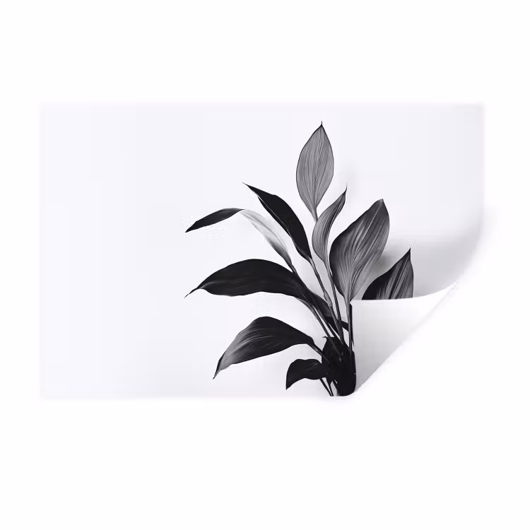 Plant - Bladeren - Minimalistisch - Zwart Muursticker klein -3d