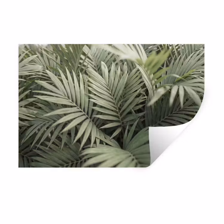 Plant - Palmbladeren - Natuur - Groen Muursticker klein -3d