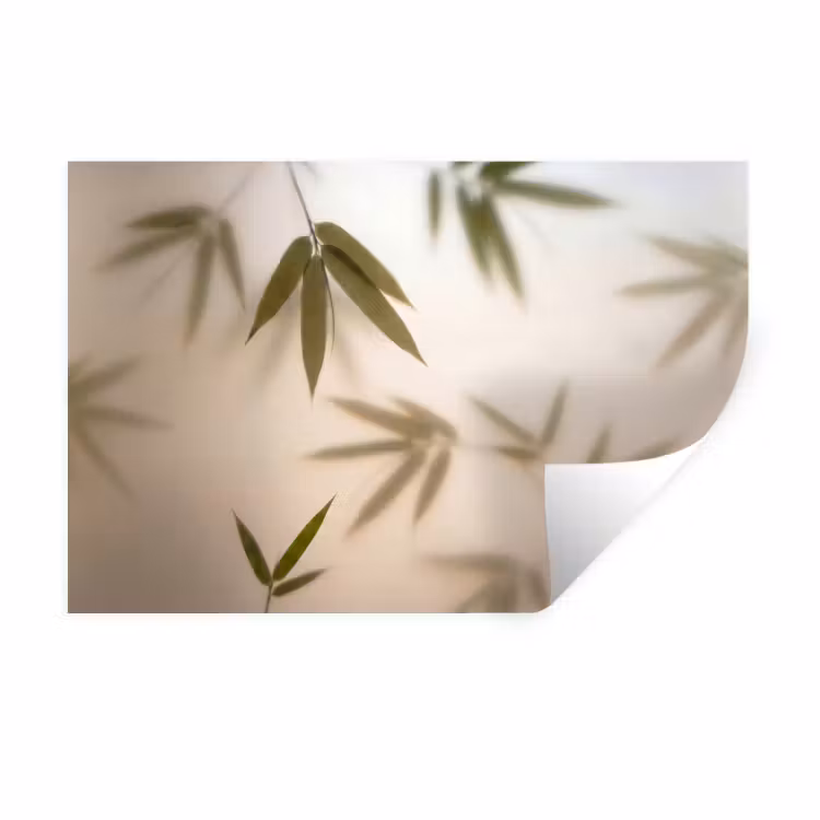 Planten - Bladeren - Natuur - Groen Muursticker klein -3d
