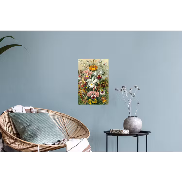 Planten - Natuur - Bloemen - Ernst Haeckel Muursticker klein -plant