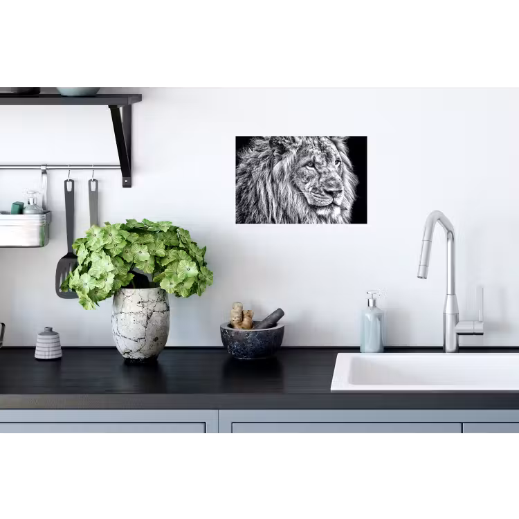 Portret - Leeuw - Zwart wit Muursticker klein -keuken