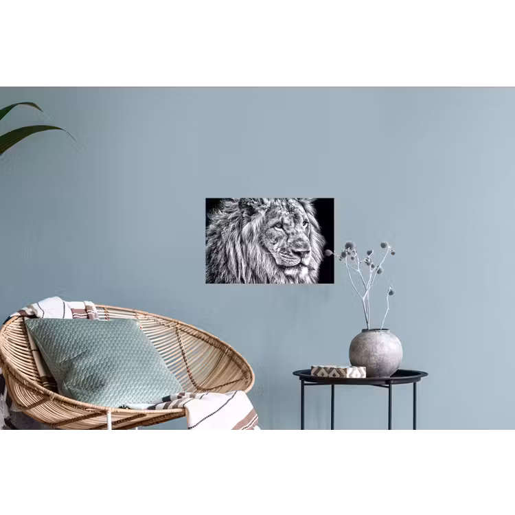 Portret - Leeuw - Zwart wit Muursticker klein -plant