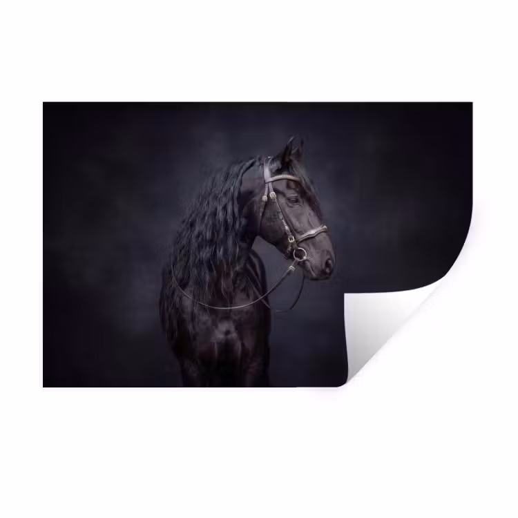 Portret - Paard - Donker Muursticker klein -3d