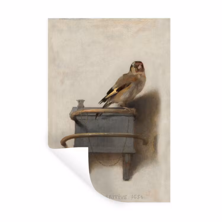 7450161238362 Muursticker klein -3d