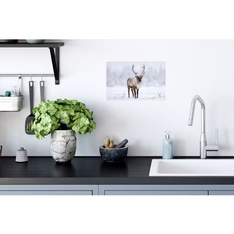 Rendier - Gewei - Toendra - Sneeuw - Wild Muursticker klein -keuken