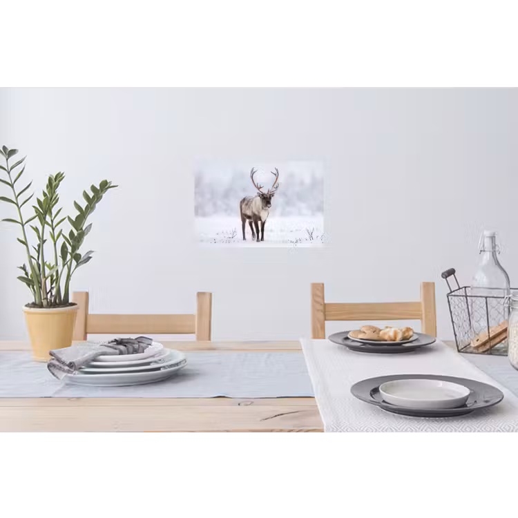 Rendier - Gewei - Toendra - Sneeuw - Wild Muursticker klein -eettafel