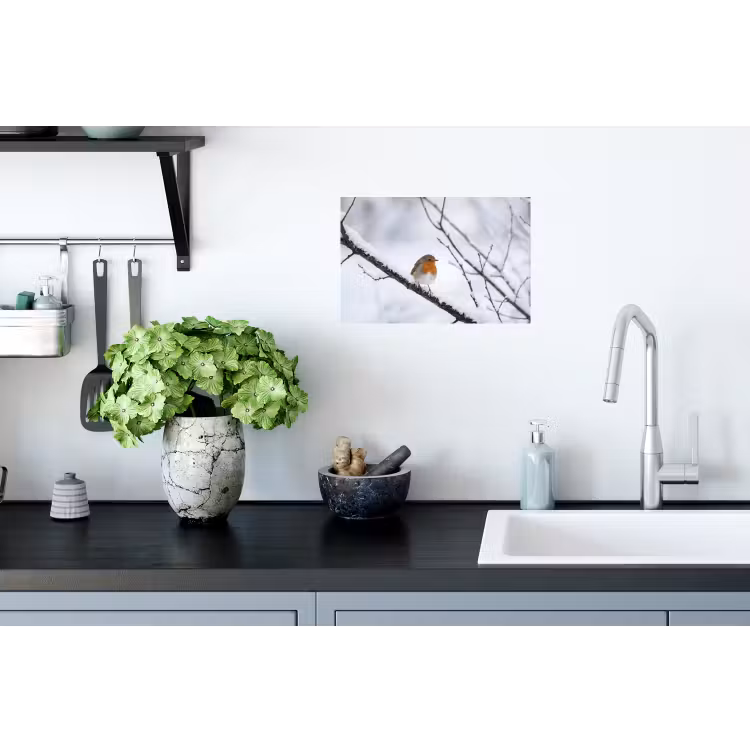 Roodborstje - Tak - Sneeuw - Winter - Levendig Muursticker klein -keuken