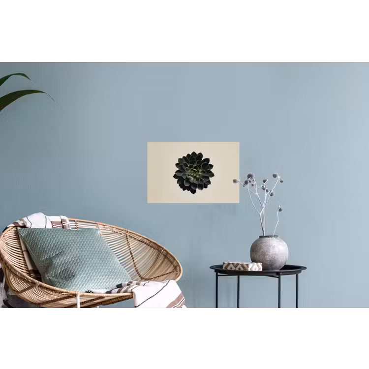Rozet - Cirkelvormig - Donkergroen Muursticker klein -plant