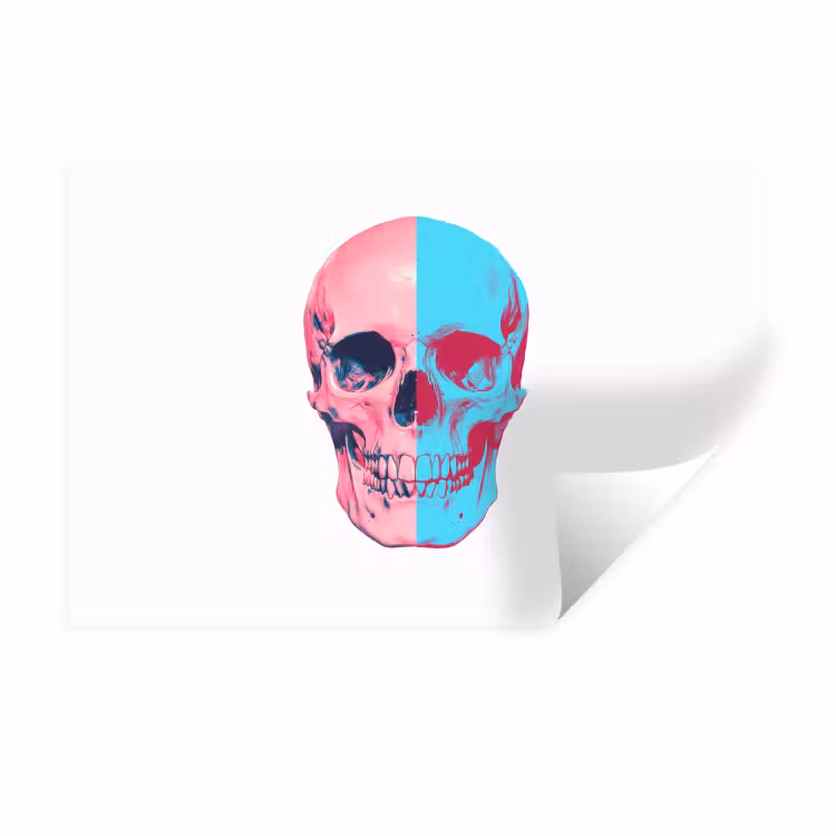 Schedel - Grafisch - Roze - Verdeeld Muursticker klein -3d