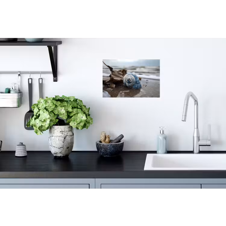 Schelp - Strand - Blauw - Zee Muursticker klein -keuken