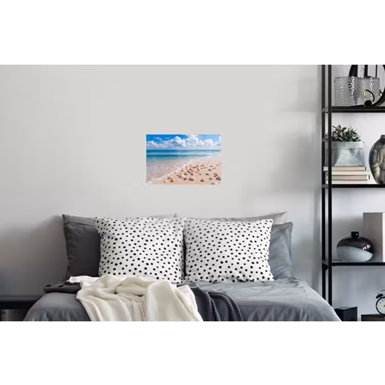 Schelpen - Strand - Natuur - Beige Muursticker klein -slaapkamer