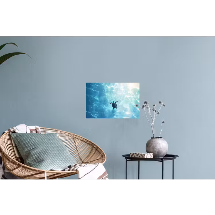 Schildpad - Zee - Blauw - Schittering Muursticker klein -plant