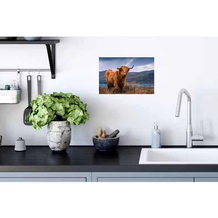 Schotse Hooglander - Berg - Water - Natuur - Koe Muursticker klein -keuken