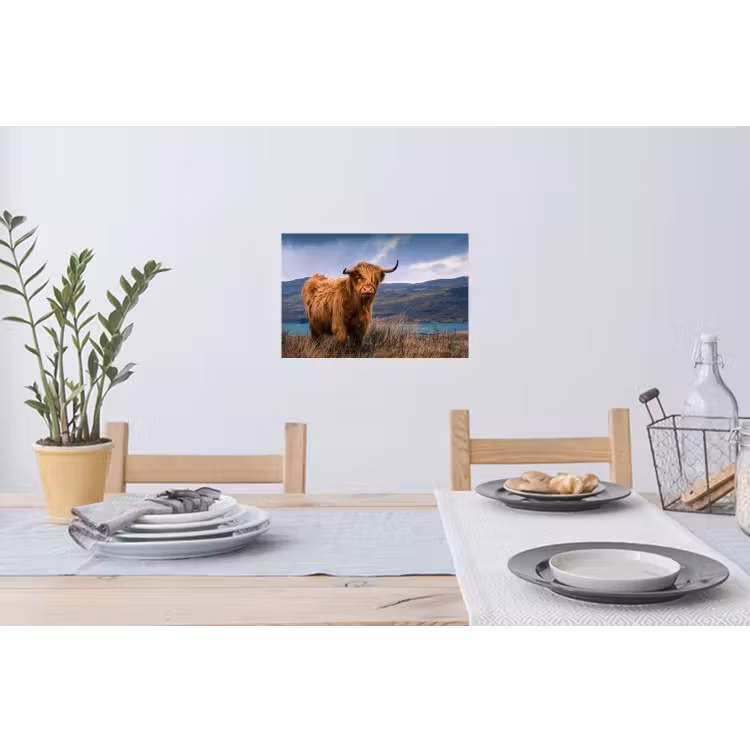 Schotse Hooglander - Berg - Water - Natuur - Koe Muursticker klein -eettafel