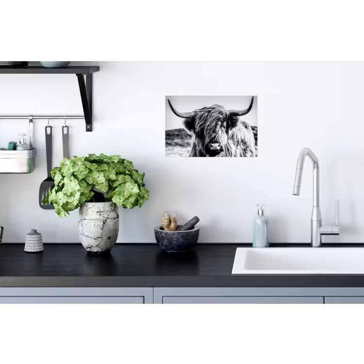 Schotse hooglander - Close up - Horens - Vacht - Zwart Wit Muursticker klein -keuken