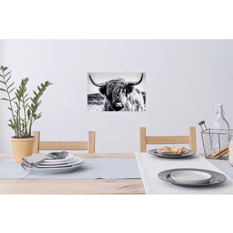 Schotse hooglander - Close up - Horens - Vacht - Zwart Wit Muursticker klein -eettafel