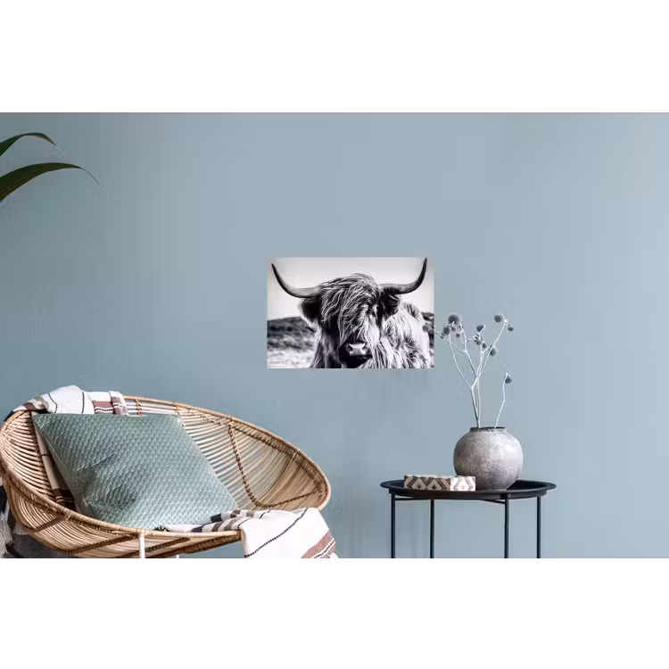 Schotse hooglander - Close up - Horens - Vacht - Zwart Wit Muursticker klein -plant