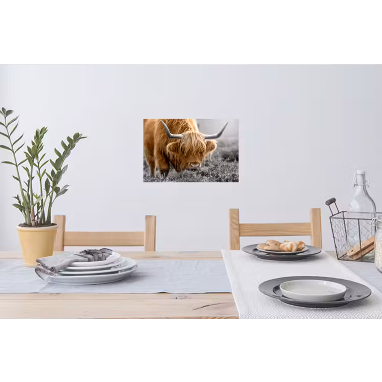 Schotse Hooglander - Dieren - Bruin - Koe - Zwart - Wit - Natuur Muursticker klein -eettafel