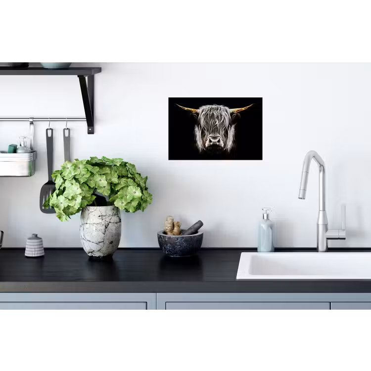 Schotse hooglander - Goud - Hoorns - Zwart wit - Koe - Dieren Muursticker klein -keuken