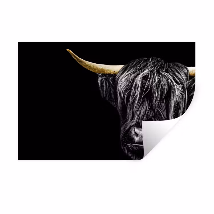 Schotse hooglander - Goud - Vacht - Dieren - Koe Muursticker klein -3d