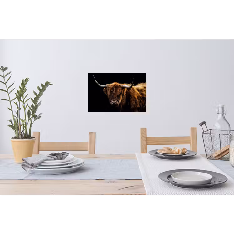 Schotse Hooglander - Horens - Zwart - Dieren - Natuur - Wild - Koe Muursticker klein -eettafel