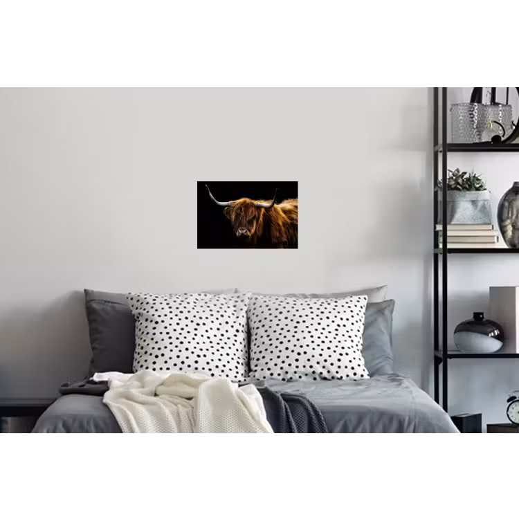Schotse Hooglander - Horens - Zwart - Dieren - Natuur - Wild - Koe Muursticker klein -slaapkamer