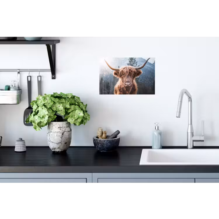 Schotse hooglander - Koe - Dieren - Berg - Natuur Muursticker klein -keuken