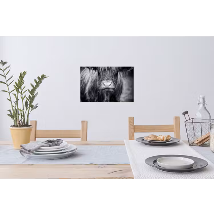 Schotse hooglander - Koe - Zwart - Wit - Dieren Muursticker klein -eettafel