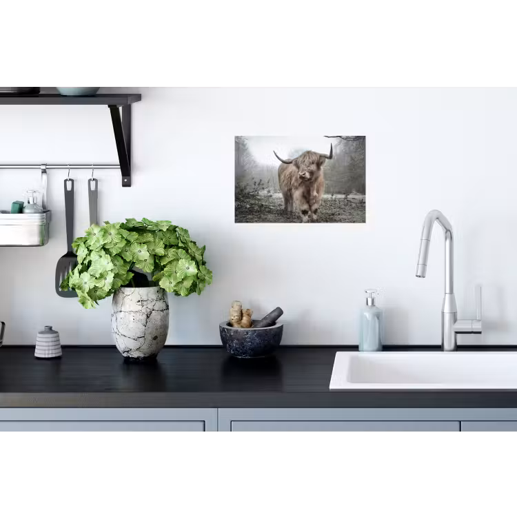 Schotse hooglander - Natuur - Herfst - Dieren - Wild - Bos Muursticker klein -keuken