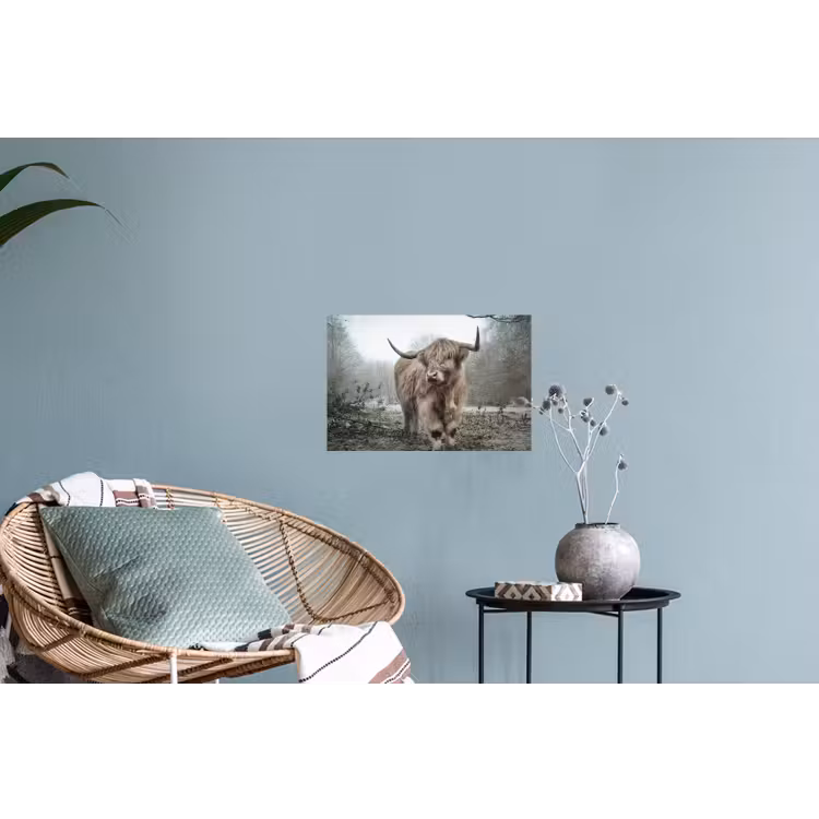 Schotse hooglander - Natuur - Herfst - Dieren - Wild - Bos Muursticker klein -plant
