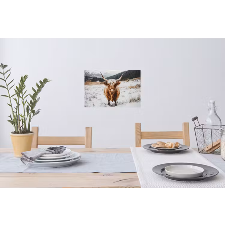 Schotse Hooglander - Sneeuw - Winter - Dieren Muursticker klein -eettafel