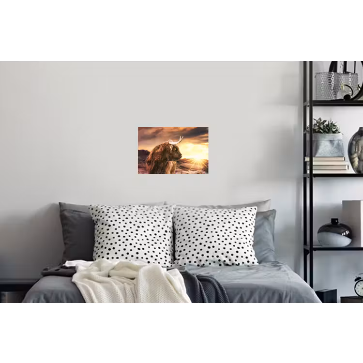 Schotse hooglander - Zon - Horizon - Koe - Dieren Muursticker klein -slaapkamer